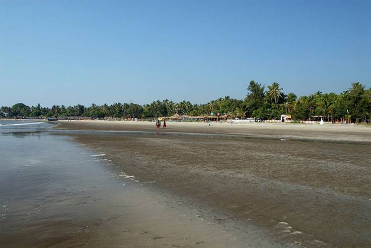 19-Morjim Beach_017